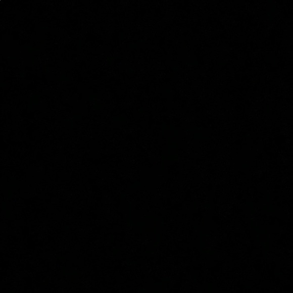 Meet your Posher, Izzy - Picture 1 of 1